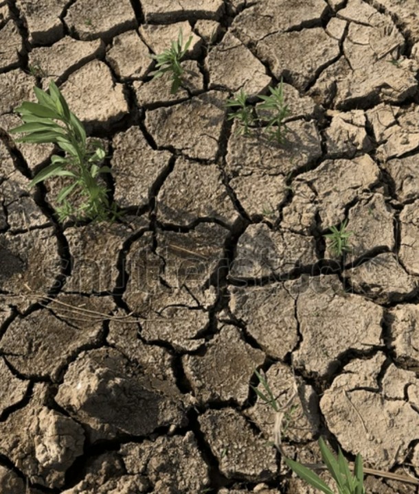 Barren land
